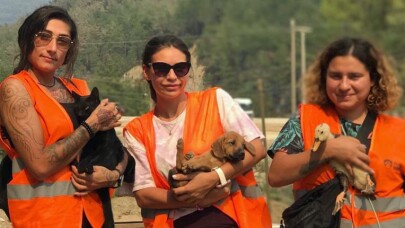 Paw Guards 2000 gönüllüsü ile afet bölgelerinde hayvanları kurtardı