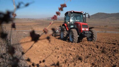 Süt otu tohumları Balıkesir'de toprakla buluştu