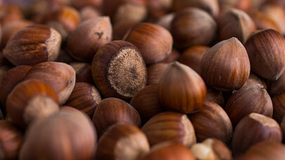 Ferrero Fındık’tan Aralık Ayı Tarımsal Uygulama Önerileri