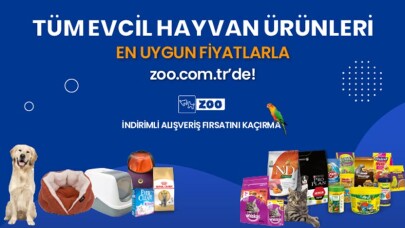 Kedi Maması ve Kedi Malzemeleri Ekonomik Fiyatlarla Zoo.com.tr ‘de!