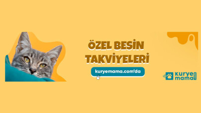 Kampanyalı Kedi Köpek Maması ve Yatağı Kuryemama.com İndirim de