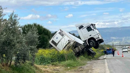 Bağa giren tır şaha kalktı