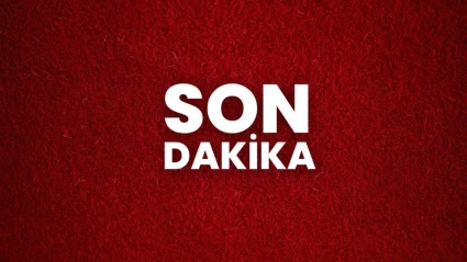 Sağlık Bakanlığı: "(Hantavirüs) Ülkemizde henüz pozitif vaka tespit edilmemiştir"
