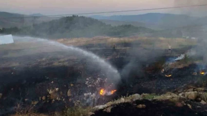 Bilecik’te otluk alanda çıkan yangın paniğe neden oldu