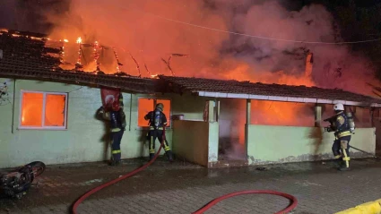 74 yaşındaki annesine dehşeti yaşatan sanığa 15 yıl hapis