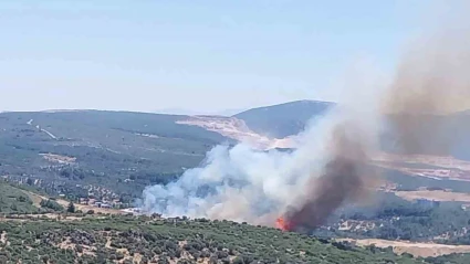 İzmir’de orman yangınına havadan ve karadan müdahale
