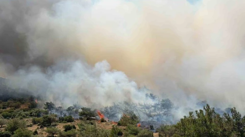 İzmir’de makilik alandaki yangına müdahale sürüyor