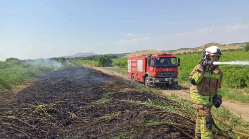 Aşırı sıcaklar Manisa’yı ateş çemberine çevirdi