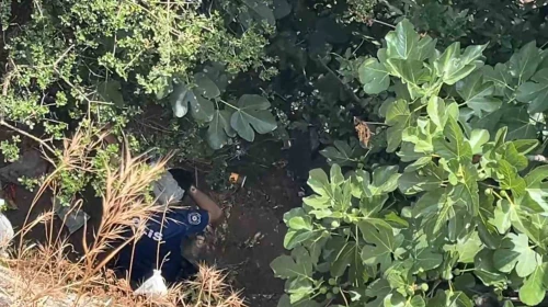 10 metreden düşen kadın, yardıma gelen polislerden kaçtı