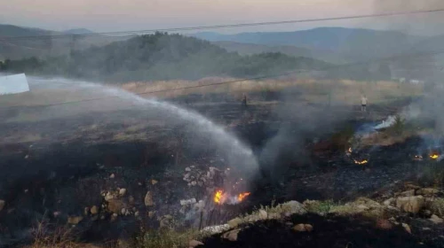 Bilecik’te otluk alanda çıkan yangın paniğe neden oldu