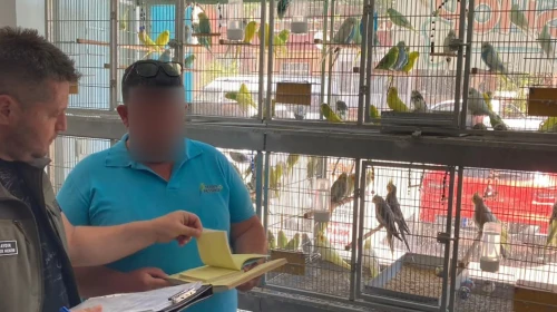 Çanakkale’de petshop denetimi