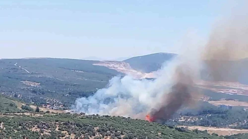 İzmir’de orman yangınına havadan ve karadan müdahale