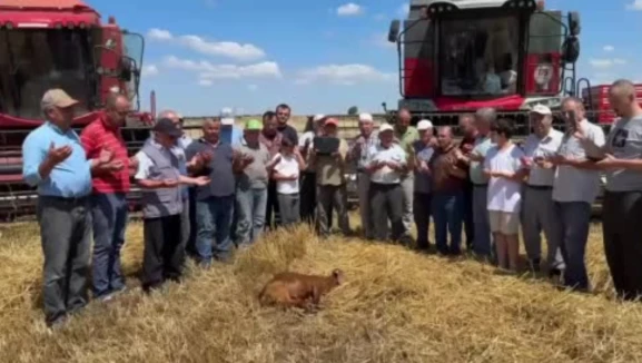 Edirne’de buğday hasadı dualarla başladı