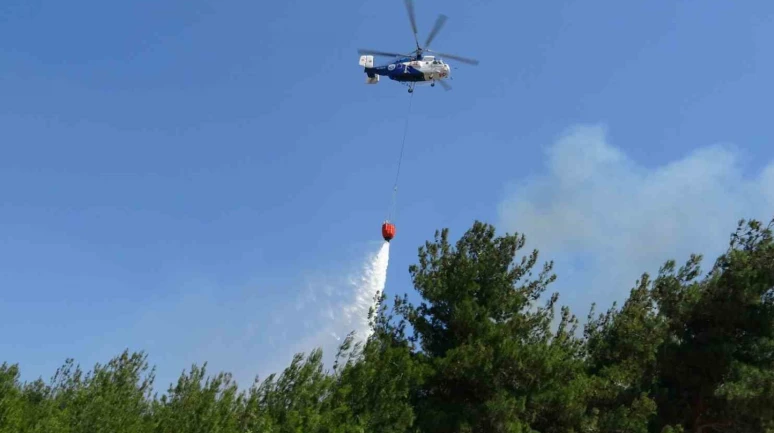 Çanakkale’de tarım arazisinde çıkan yangın kontrol altına alındı