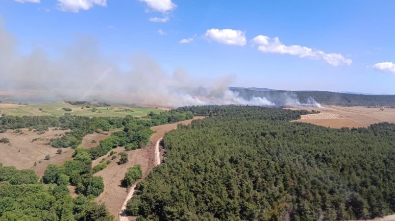 Çanakkale’de tarım arazisinde başlayan yangın ormana sıçradı