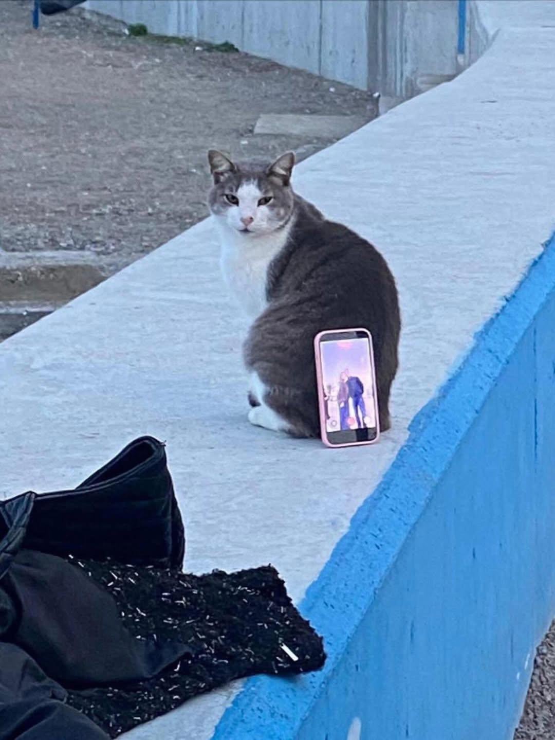 bursa-sahilinde-ilginc-fotograf-cozumu-tripod-yerine-kedi-kullandilar