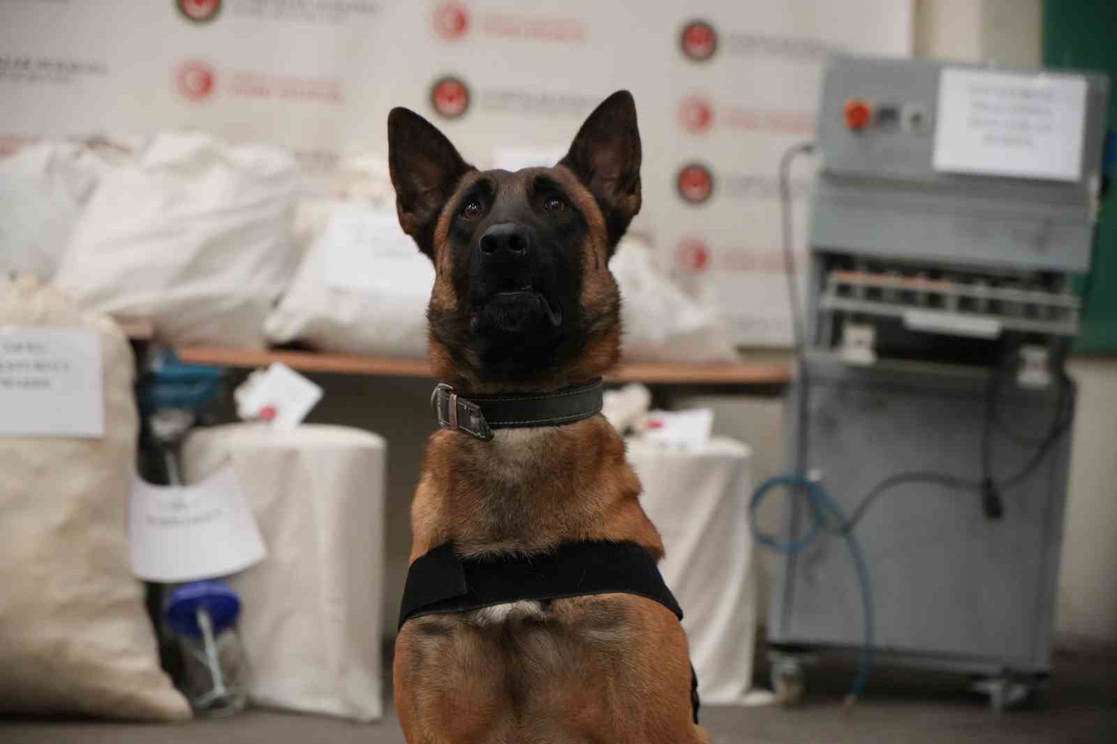 edirnede-evini-uyusturucu-imalathanesine-cevirmis-operasyonda-117-kilo-uyusturucu-ele-gecirildi