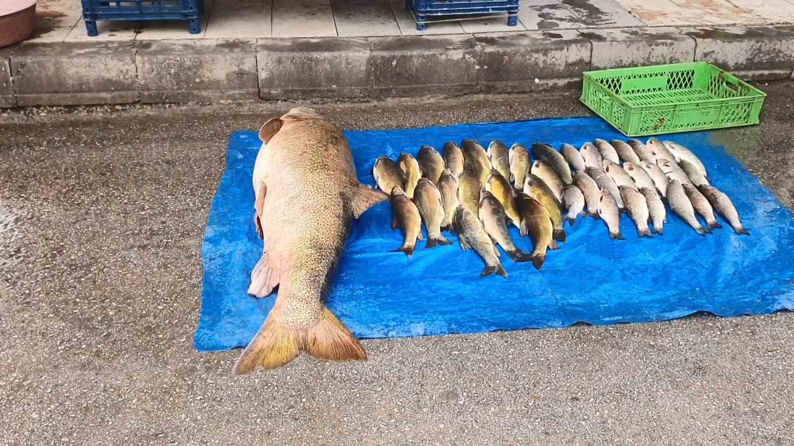 elazigda-52-kilogram-agirliginda-turna-yakalandi