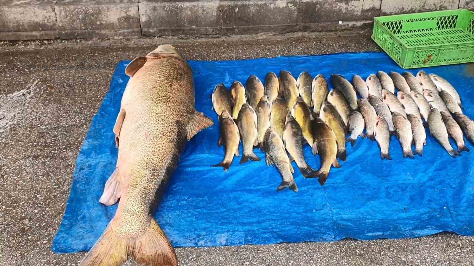 elazigda-52-kilogram-agirliginda-turna-yakalandi