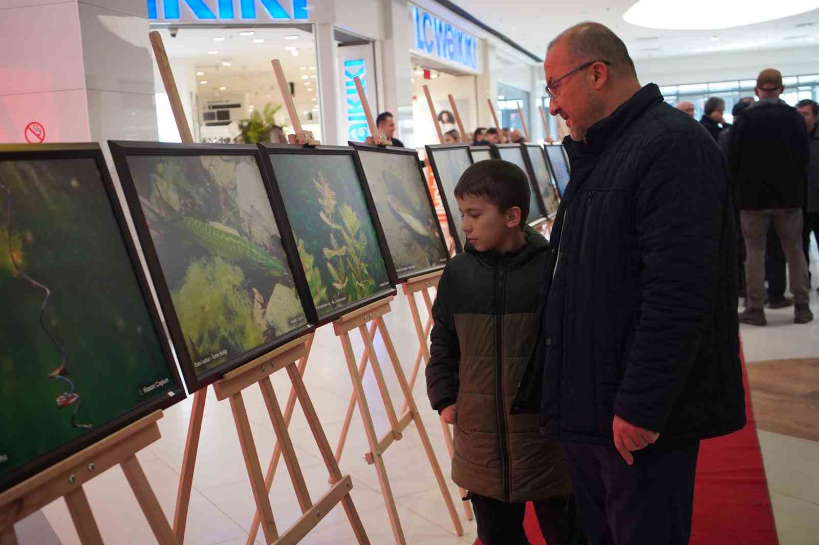 sapanca-golu-fotograflari-gazze-icin-umuda-donustu-geliri-yetim-ve-oksuz-cocuklara-bagislanacak