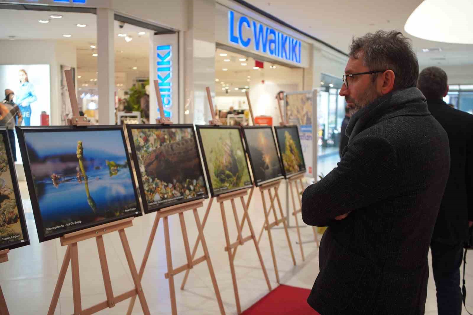 sapanca-golu-fotograflari-gazze-icin-umuda-donustu-geliri-yetim-ve-oksuz-cocuklara-bagislanacak