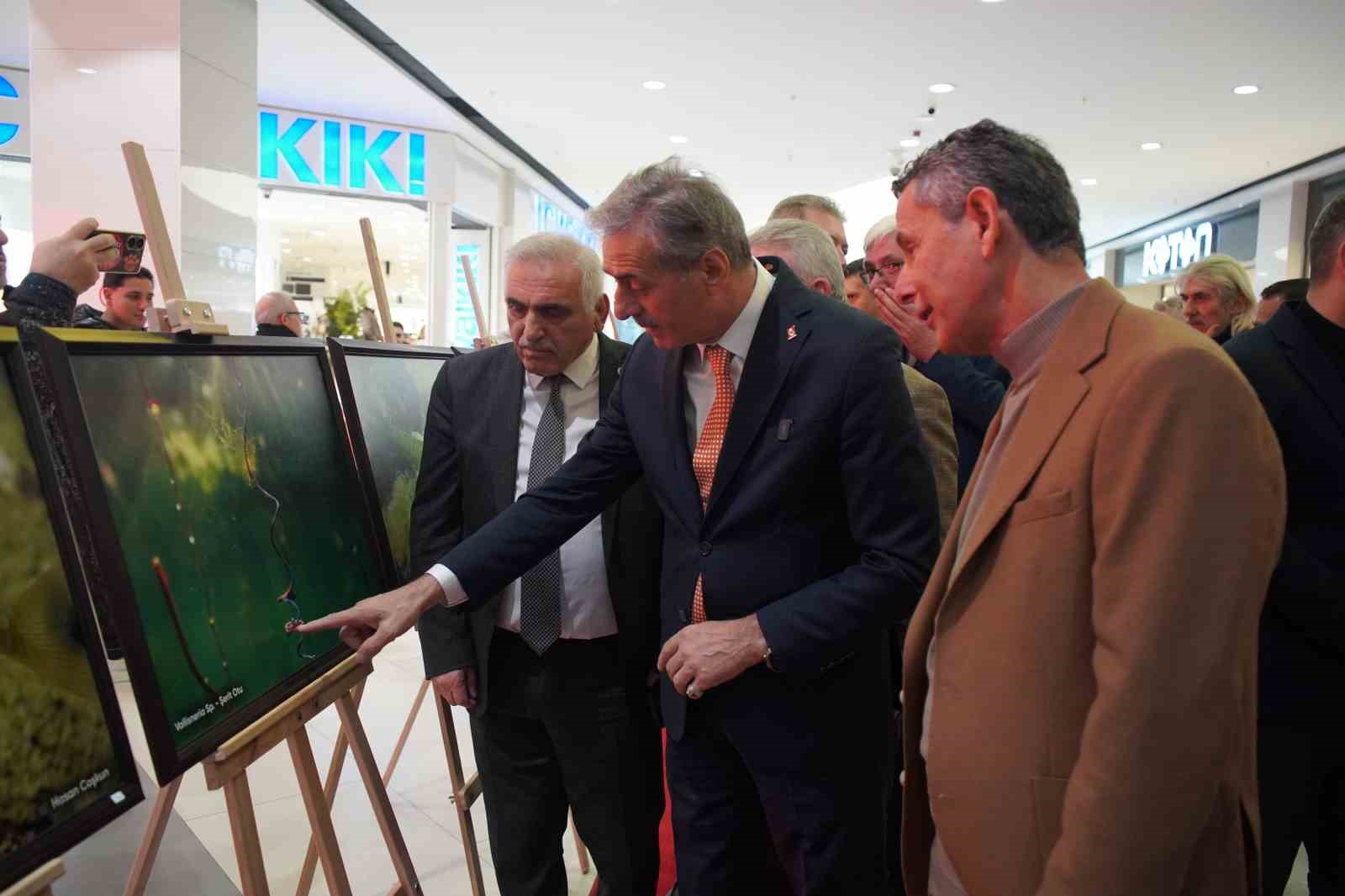 sapanca-golu-fotograflari-gazze-icin-umuda-donustu-geliri-yetim-ve-oksuz-cocuklara-bagislanacak