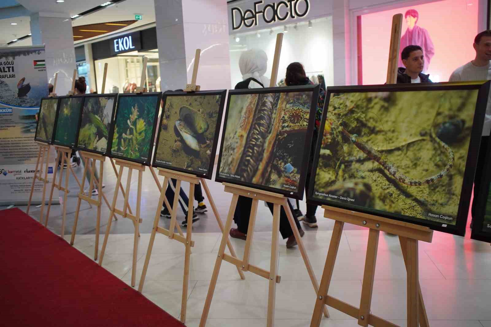 sapanca-golu-fotograflari-gazze-icin-umuda-donustu-geliri-yetim-ve-oksuz-cocuklara-bagislanacak