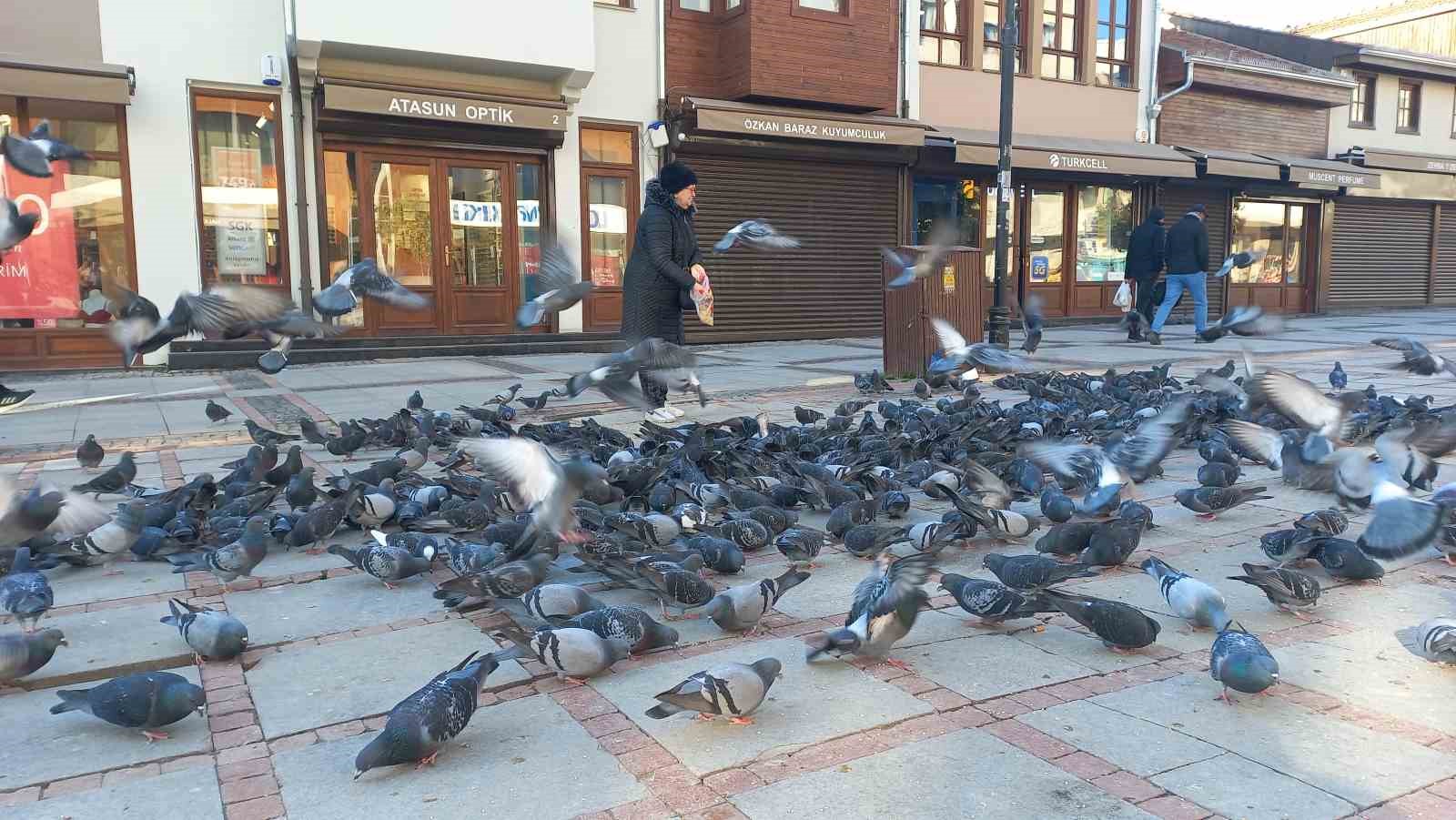 sogukta-usuyen-kuslar-icin-5-kilometrelik-sefkat-yolculugu