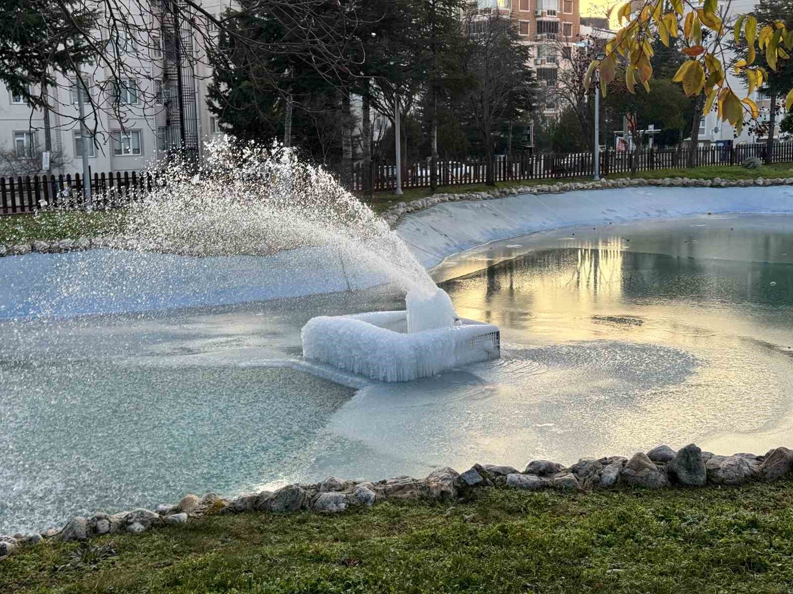 sus-havuzlari-buz-heykeline-donustu
