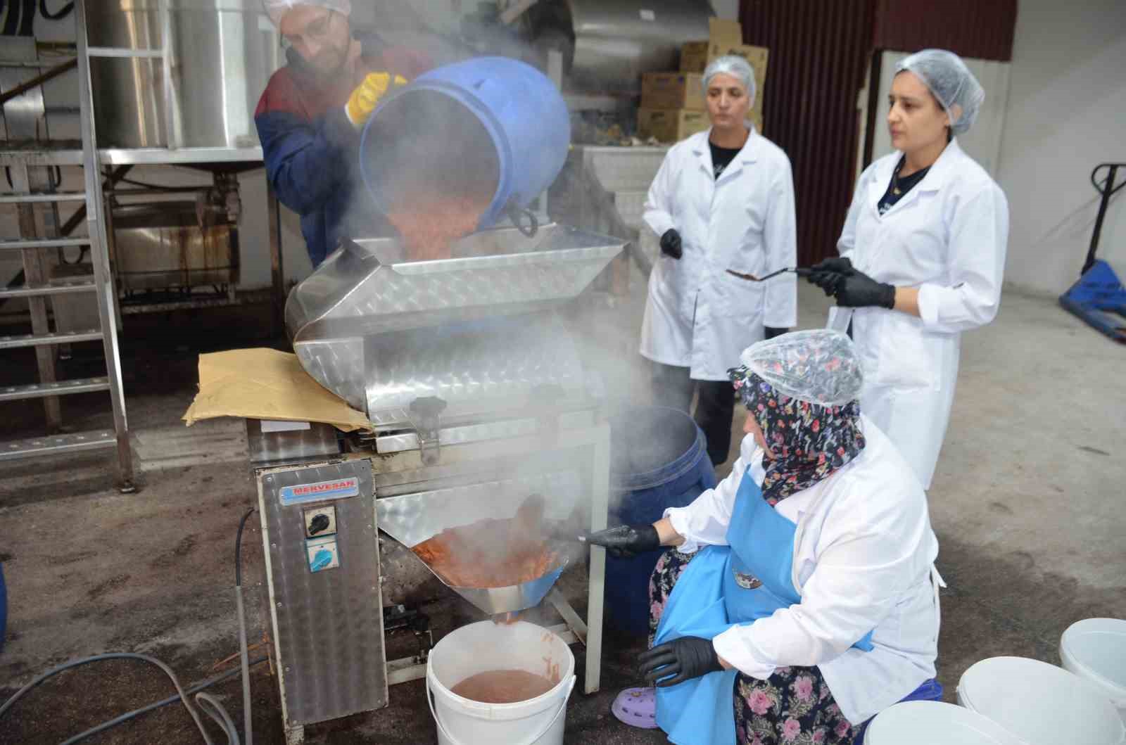 bu-tesiste-gunde-10-bin-adet-ayva-ve-nar-lokumu-uretiliyor