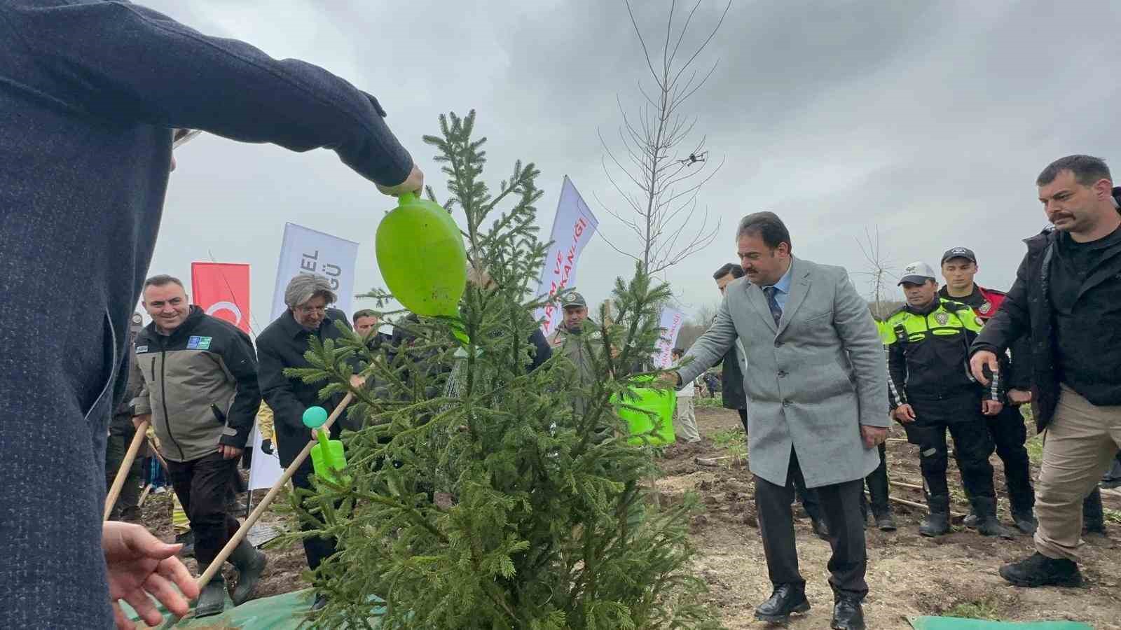 bursada-2-yil-once-yanan-80-hektarlik-alan-agaclandirildi