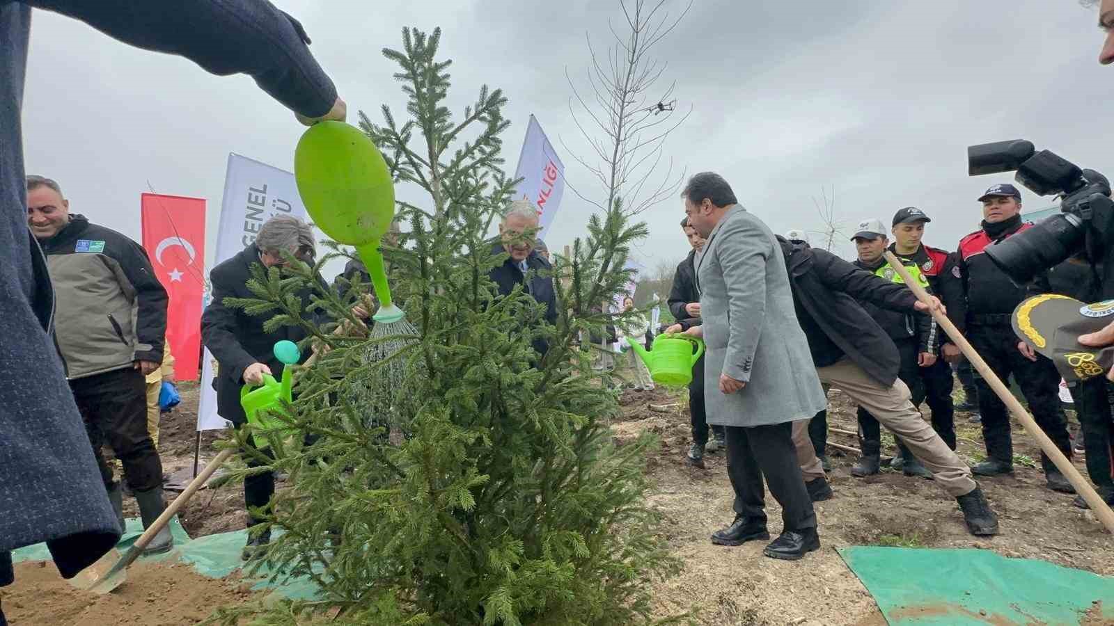 bursada-2-yil-once-yanan-80-hektarlik-alan-agaclandirildi