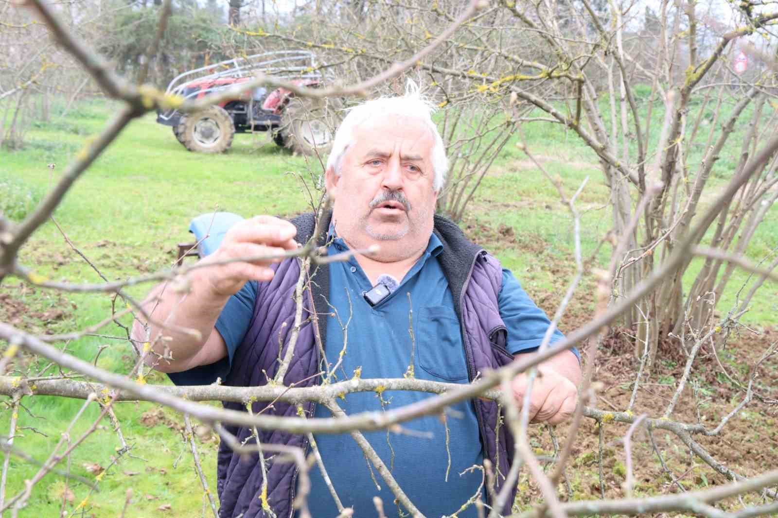 kocaelide-hibeli-gubrelerini-alan-ciftciler-tarlada-mesaiye-basladi
