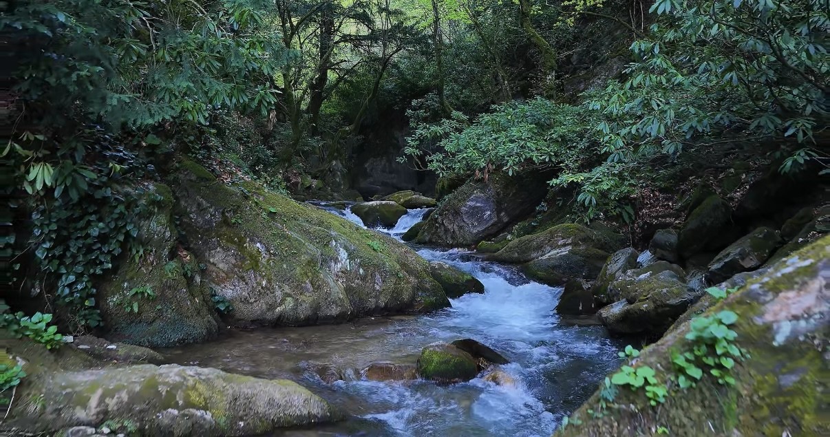 istanbulun-yani-basindaki-doga-harikasi