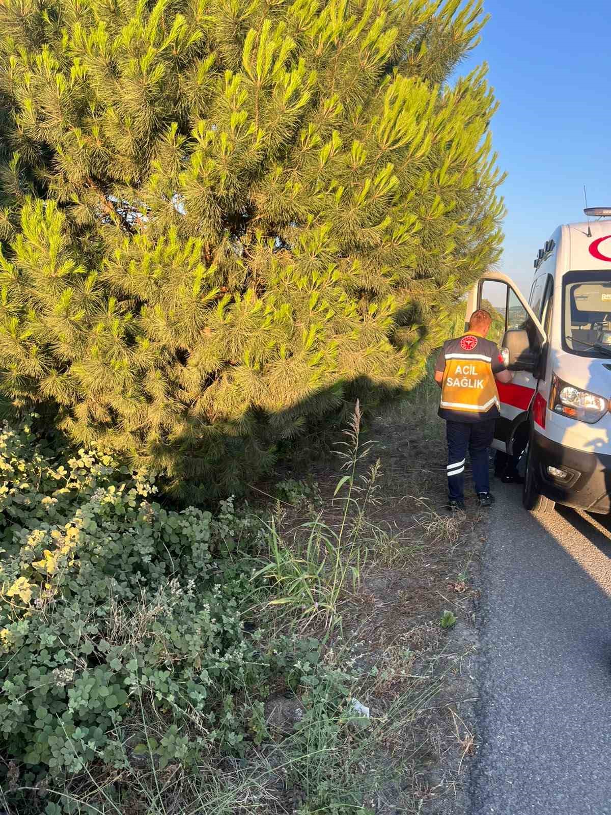 balikesirde-surucu-direksiyon-hakimiyetini-kaybetti-1-yarali