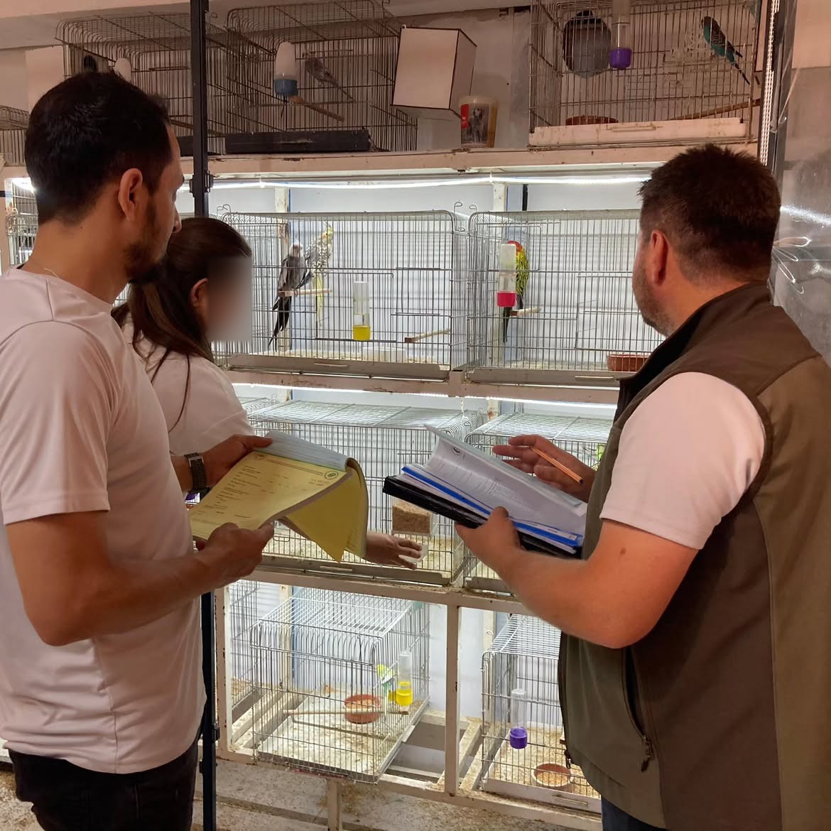 canakkalede-petshop-denetimi