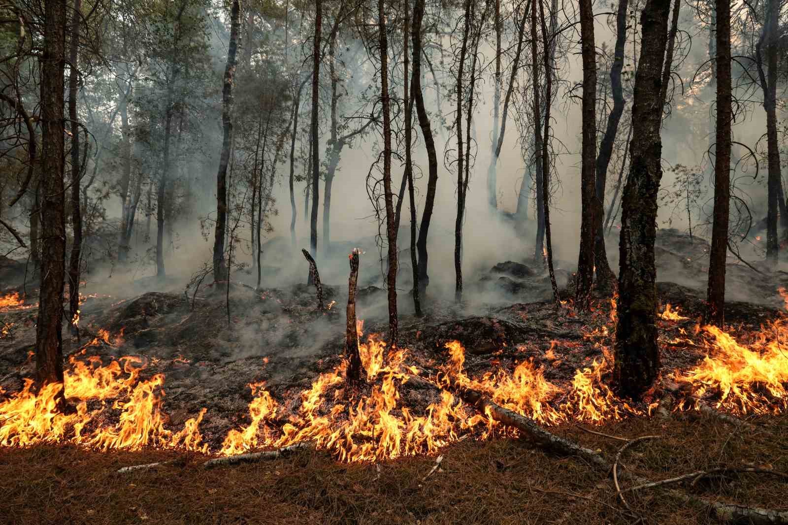 fransadaki-orman-yangini-suruyor-3-bin-donumluk-alan-yandi-en-az-2-kisi-tutuklandi