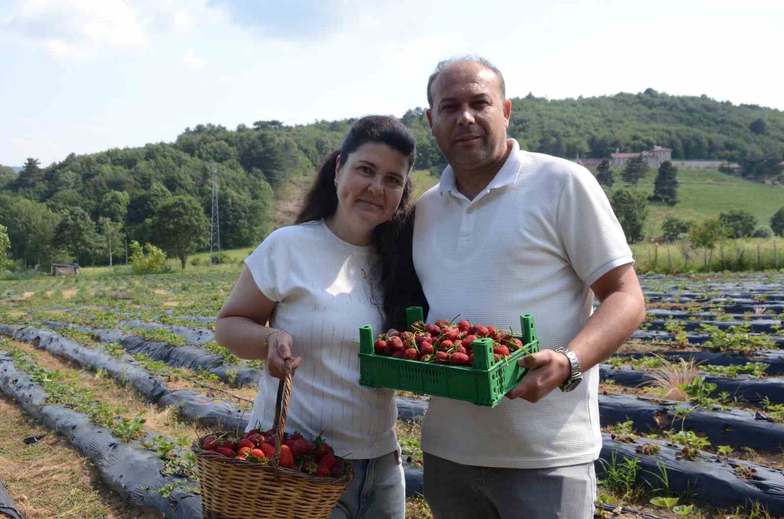 hobi-olarak-2-donumde-basladi-uretimi-simdi-42-donume-cikti