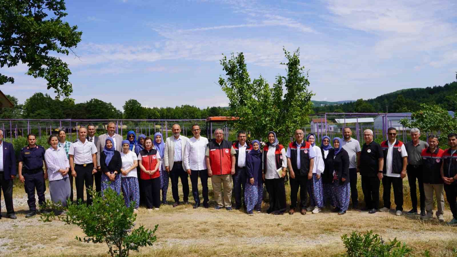 iznikte-yaban-mersini-hasadi-basladi