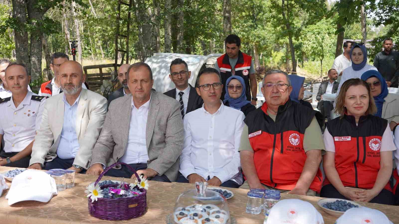 iznikte-yaban-mersini-hasadi-basladi