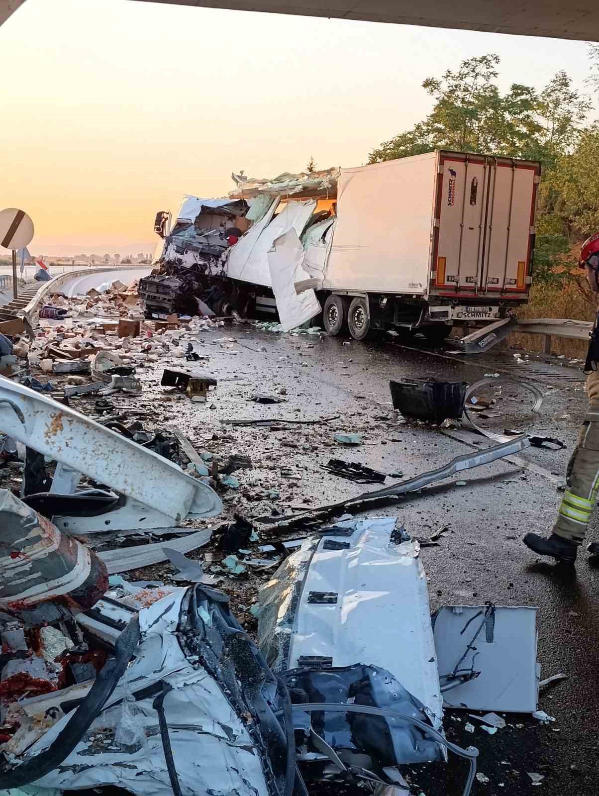 koprudeki-beton-bariyere-carpan-tavuk-yuklu-kamyonun-surucusu-hayatini-kaybetti