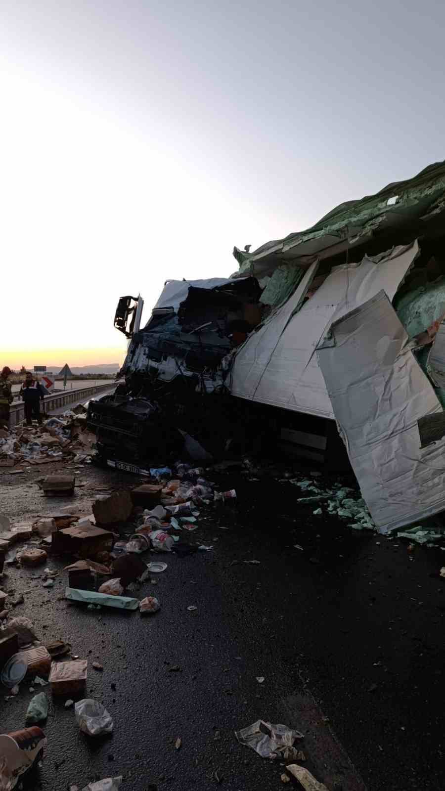 koprudeki-beton-bariyere-carpan-tavuk-yuklu-kamyonun-surucusu-hayatini-kaybetti