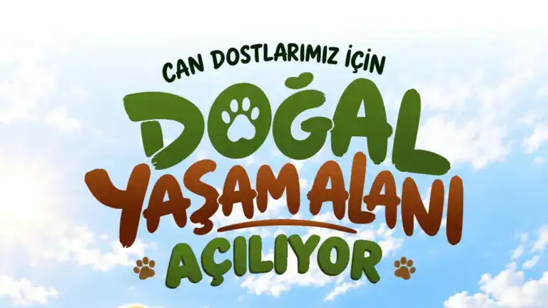 Edirne’de Sahipsiz Hayvan Doğal Yaşam Alanı Açılıyor