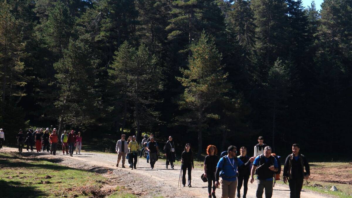 İnönü ve Ercova Yaylalarında Sonbahar Yürüyüşü